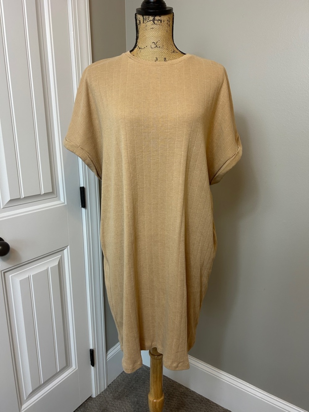 Zara Tan Dress
